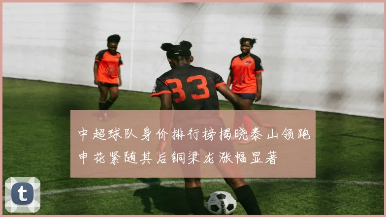中超球队身价排行榜揭晓泰山领跑申花紧随其后铜梁龙涨幅显著
