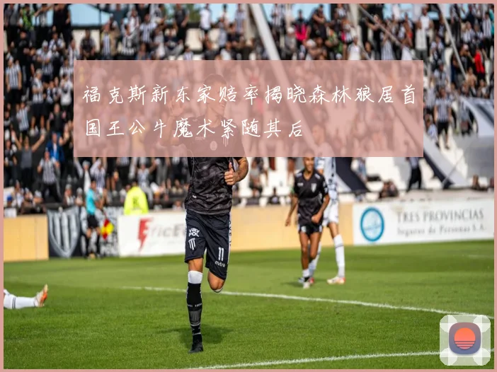 福克斯新东家赔率揭晓森林狼居首国王公牛魔术紧随其后